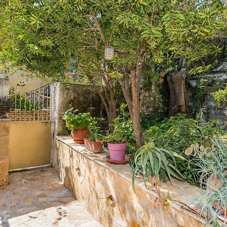 Vila Reseda House Zakynthos Exteriér fotografie